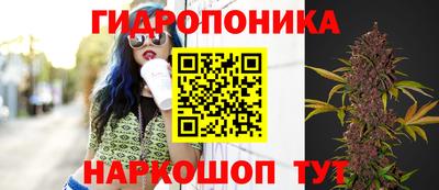 тгк Камышлов