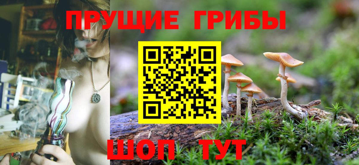 Галлюциногенные грибы Psilocybe  Вход с VPN  Лабытнанги 
